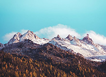 赏金女王试玩-曝新疆男篮即将重返CBA 最快本周五将与首钢交锋